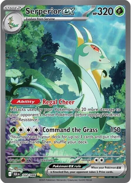 Serperior ex (164/086) (Holofoil) (SV: Black Bolt)