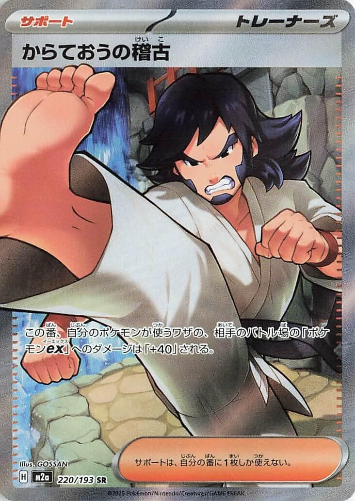 Black Belt's Training (220/193) (Holofoil) (M2a: High Class Pack: MEGA Dream ex)